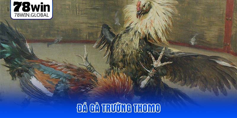 da-ga-truong-thomo