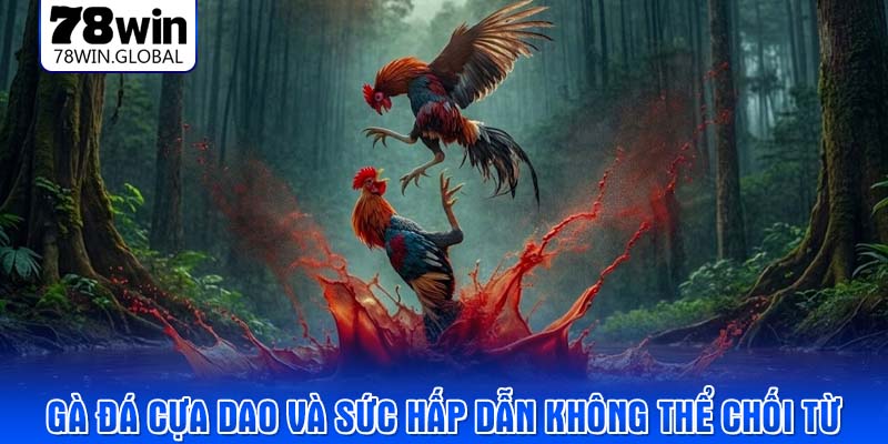 Gà đá cựa dao và sức hấp dẫn không thể chối từ