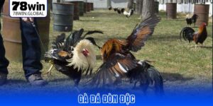 ga-da-don-doc