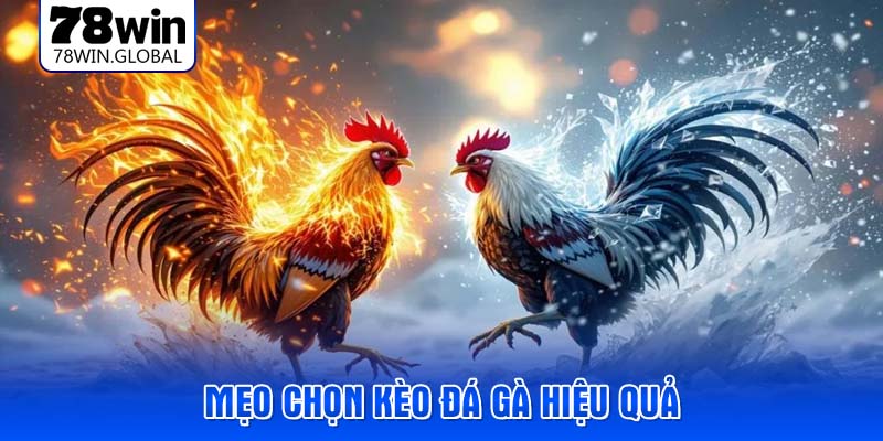 Mẹo chọn kèo đá gà hiệu quả