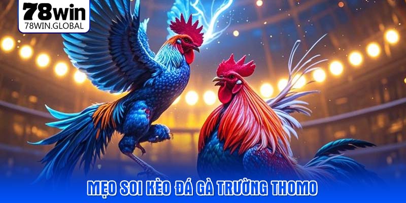 Mẹo soi kèo đá gà trường Thomo