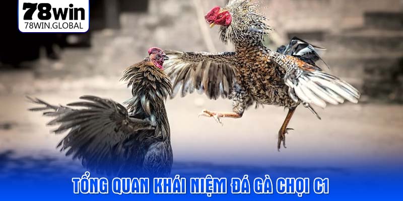 Tổng quan Khái niệm đá gà chọi C1