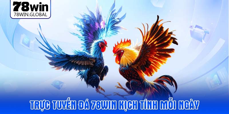 Trực tuyến đá 78WIN kịch tính mỗi ngày